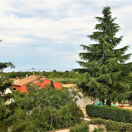 N32 *